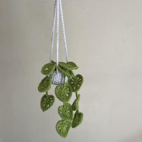 mini hanging plant