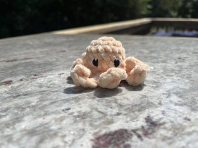 mini octos