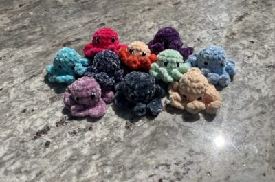 mini octos