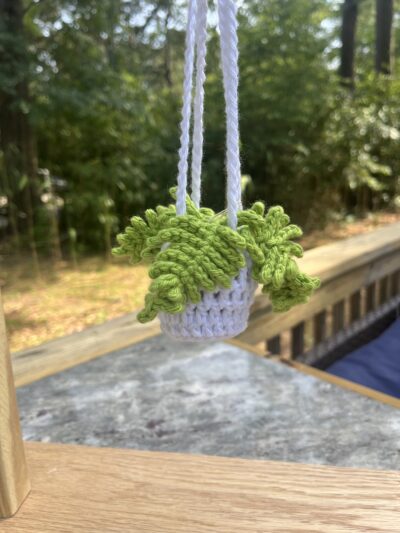 hanging fern