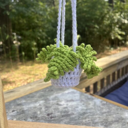 hanging fern