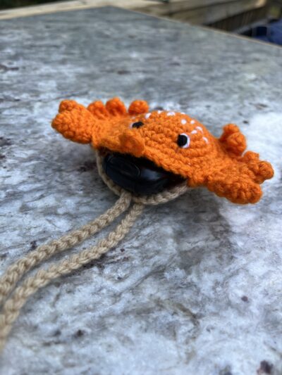 orange crab