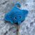 Stingray Pouch