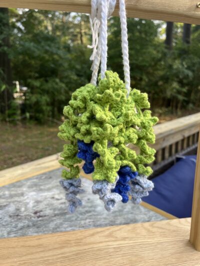 blue hanging pot