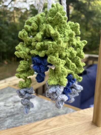 blue hanging pot