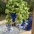 blue hanging pot