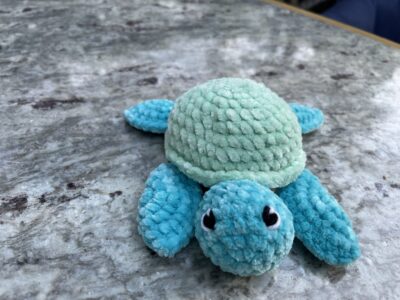 turtle