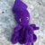 squid