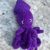 squid