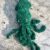 squid
